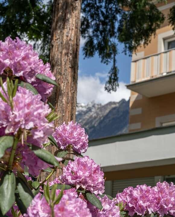 Special deal Classic